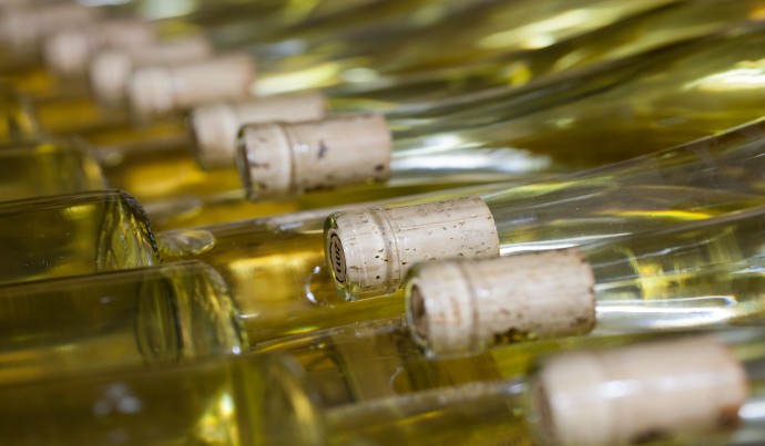 Alkoholfreier Wein in Flaschen auf einem Regal