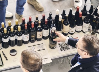 Top-Trends auf der EUROVINO in Karlsruhe: Von alkoholfrei über Piwis bis zu nationalen und internationalen Spitzenweinen 
